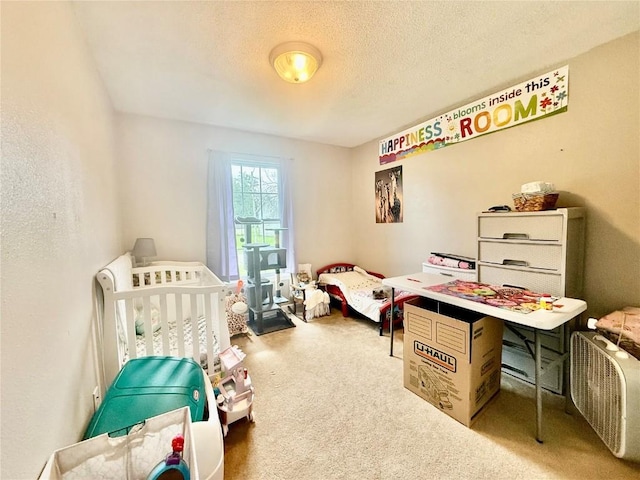 507 Maplewood Dr, Center Point, IA 52213 - bedroom with carpet floors and a textured ceiling
