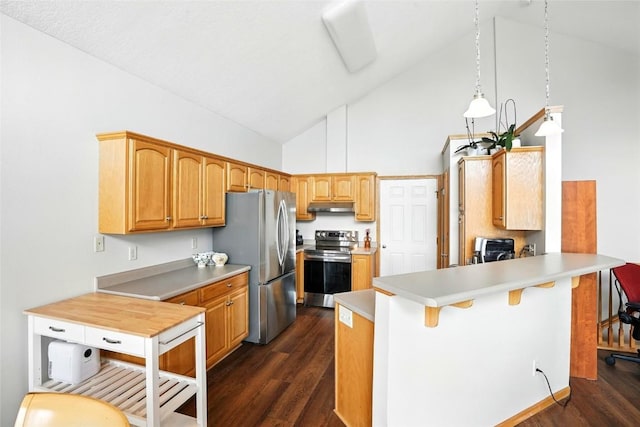 1459 Buckingham Ln, Iowa City, IA 52245 - kitchen with appliances with stainless steel finishes, under cabinet range hood, a peninsula, high vaulted ceiling, and dark wood-style flooring