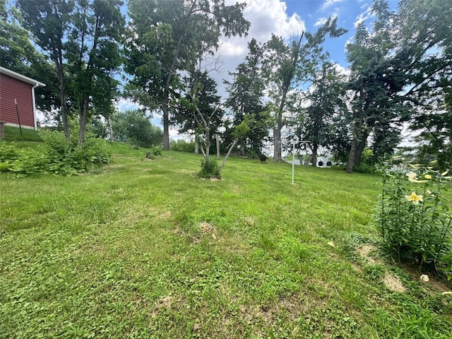 1640 11th St NW, Cedar Rapids, IA 52405 - view of yard