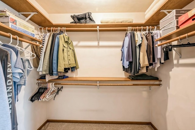 1595 17th Ave, Marion, IA 52302 - spacious closet with carpet floors