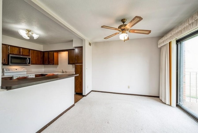 809 Kerry Ln SE Unit 66, Cedar Rapids, IA 52403 - kitchen featuring stainless steel microwave, electric stove, light colored carpet, and plenty of natural light