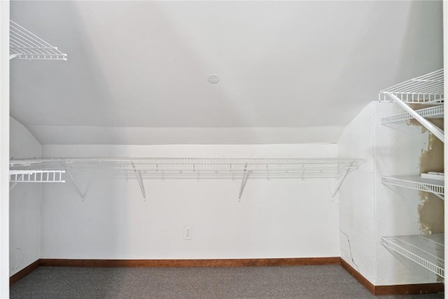 100 W Short St, Solon, IA 52333 - spacious closet with carpet and lofted ceiling