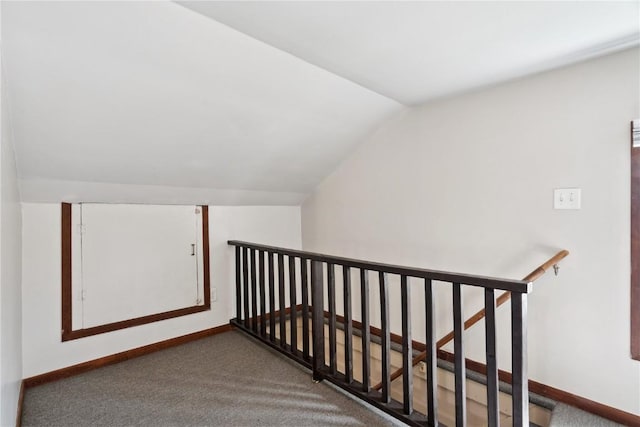 100 W Short St, Solon, IA 52333 - stairway featuring lofted ceiling and carpet floors