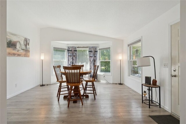 75 Jefferson Ave SW, Swisher, IA 52238 - dining area with plenty of natural light, wood finished floors, and vaulted ceiling