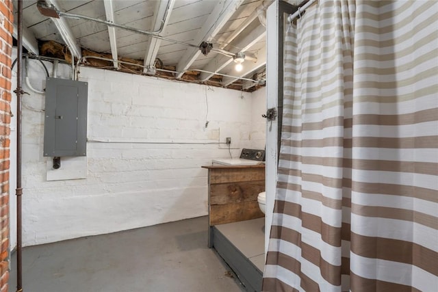 210 16th St SE, Cedar Rapids, IA 52403 - unfinished basement with electric panel
