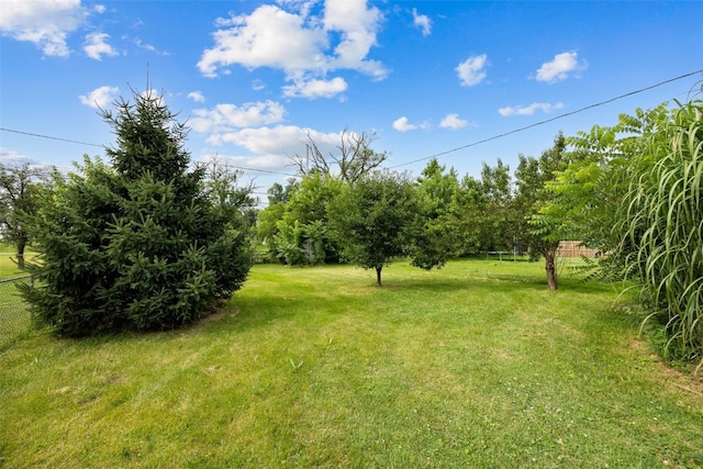 609 34th St NE, Cedar Rapids, IA 52402 - view of yard