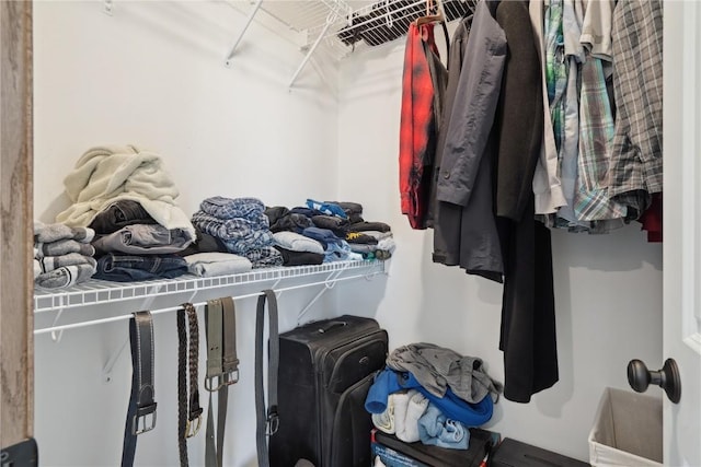 2903 Belle St SW, Cedar Rapids, IA 52404 - view of walk in closet