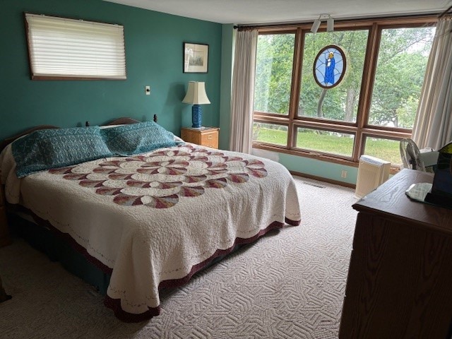 2119 Lakeview Ridge Dr NE, Solon, IA 52333 - bedroom with carpet flooring