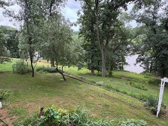 2119 Lakeview Ridge Dr NE, Solon, IA 52333 - view of yard
