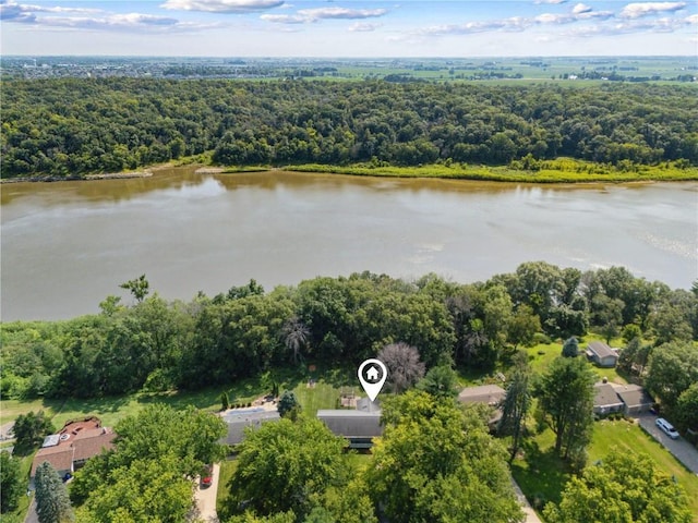 2135 Lake View Ridge Dr NE, Solon, IA 52333 - aerial view of a forest and a nearby body of water