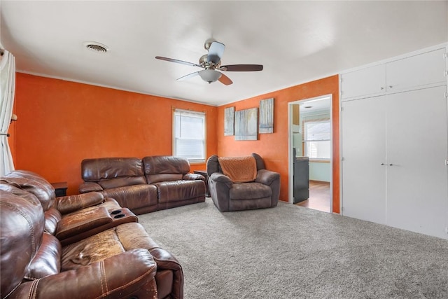 1140 31st St, Cedar Rapids, IA 52402 - living area with ceiling fan, healthy amount of natural light, and carpet flooring