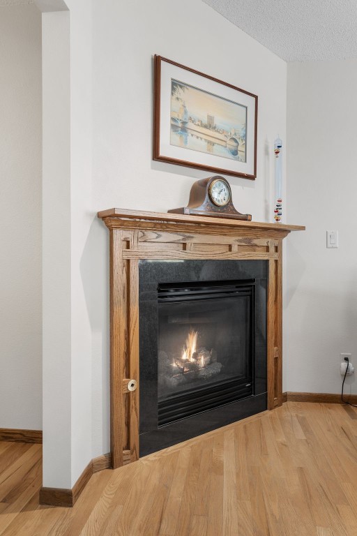 906 29th St NW, Cedar Rapids, IA 52405 - detailed view of a glass covered fireplace and wood finished floors