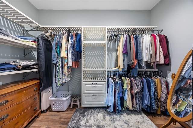 605 Alexis Ln, Marion, IA 52302 - walk in closet with wood finished floors