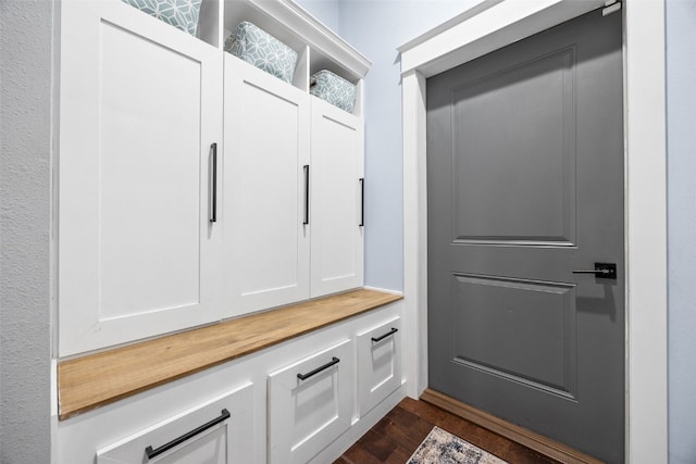 605 Alexis Ln, Marion, IA 52302 - mudroom with dark wood-style flooring