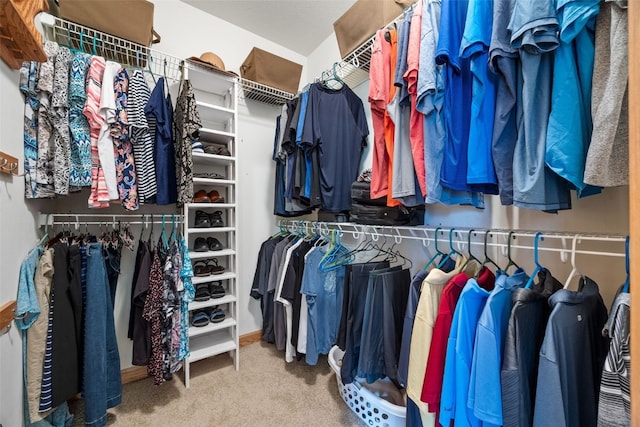 6845 Flint Rock Ct, Marion, IA 52302 - walk in closet with carpet flooring