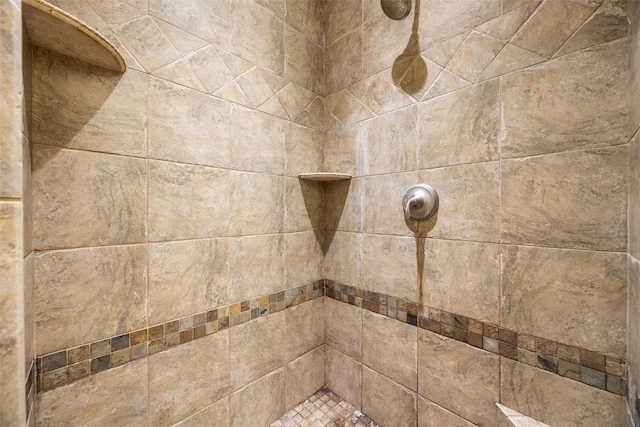 6845 Flint Rock Ct, Marion, IA 52302 - bathroom view of a tile shower