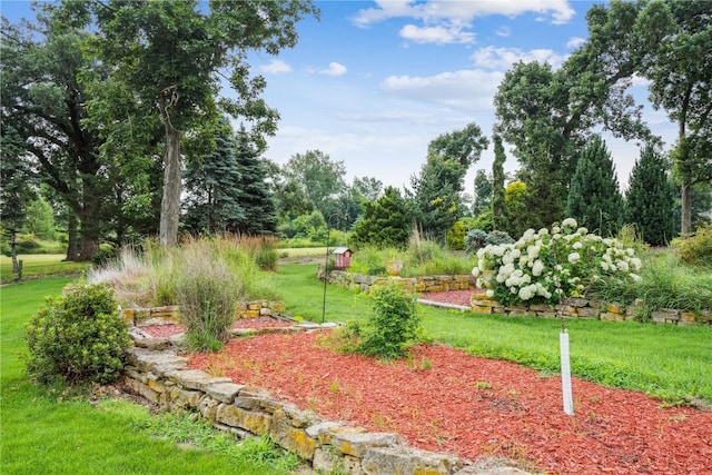 5524 Cimarron Ct, Marion, IA 52302 - view of grassy yard