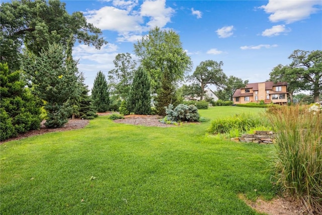 5524 Cimarron Ct, Marion, IA 52302 - view of green lawn