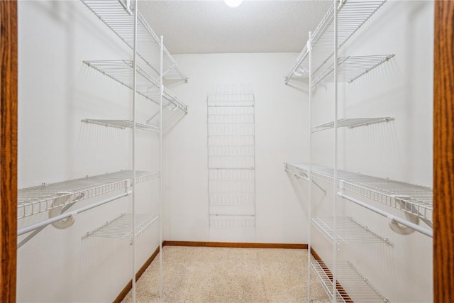 5524 Cimarron Ct, Marion, IA 52302 - view of walk in closet