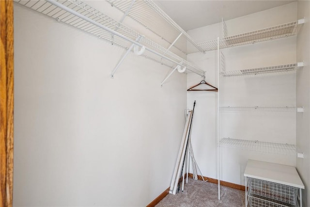 5524 Cimarron Ct, Marion, IA 52302 - walk in closet with carpet flooring