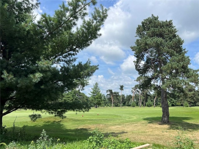 468 Chamber Dr, Anamosa, IA 52205 - view of green lawn featuring view of wooded area