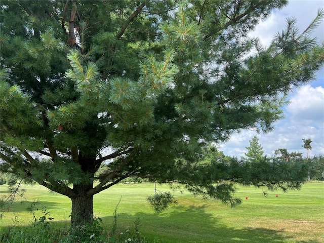 468 Chamber Dr, Anamosa, IA 52205 - view of grassy yard