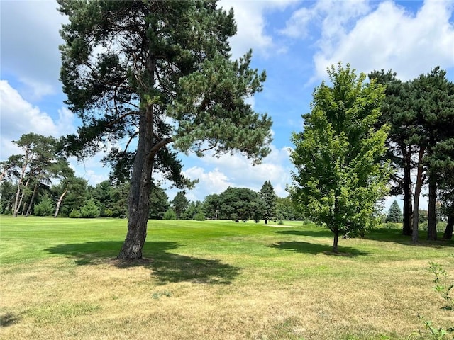 468 Chamber Dr, Anamosa, IA 52205 - view of green lawn featuring view of scattered trees