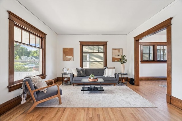 395 18th St SE, Cedar Rapids, IA 52403 - living room featuring plenty of natural light and light wood finished floors