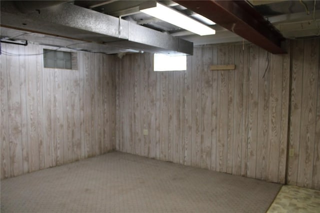 302 S Main St, Monticello, IA 52310 - below grade area with carpet flooring and wooden walls