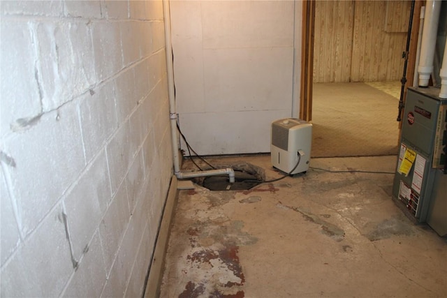 302 S Main St, Monticello, IA 52310 - below grade area with concrete block wall