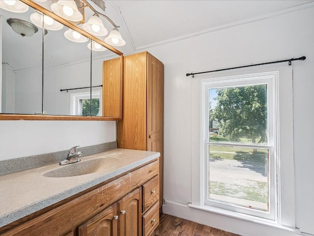 226 2nd Ave E, Lisbon, IA 52253 - bathroom featuring vanity and wood finished floors