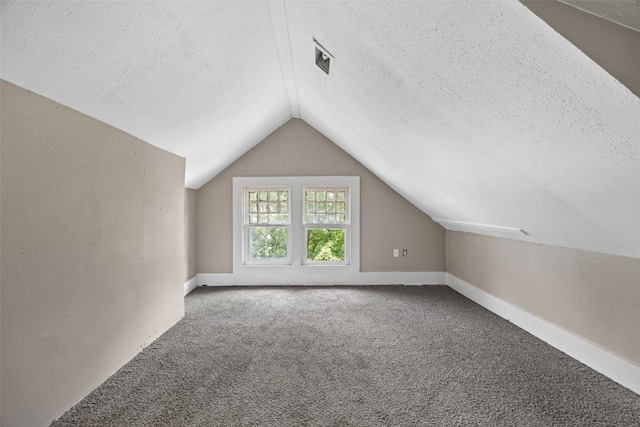 351 19th St SE, Cedar Rapids, IA 52403 - bonus room with a textured ceiling, vaulted ceiling, and carpet floors