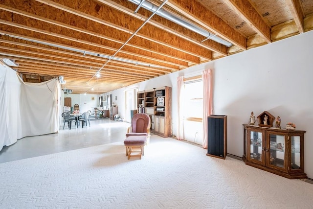 1827 Hamer Dr NW, Cedar Rapids, IA 52405 - view of basement