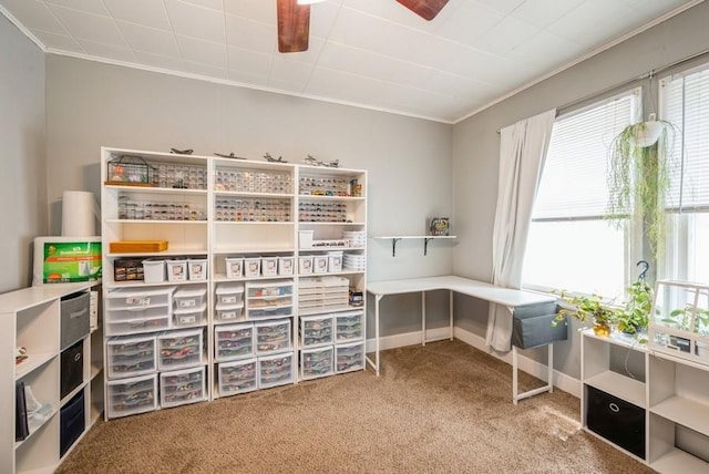 3825 Hart Ct, Cedar Rapids, IA 52402 - carpeted office featuring healthy amount of natural light, a ceiling fan, and crown molding