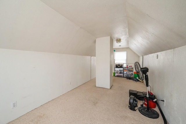 3825 Hart Ct, Cedar Rapids, IA 52402 - additional living space featuring vaulted ceiling and carpet