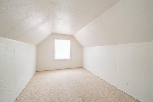 3825 Hart Ct, Cedar Rapids, IA 52402 - bonus room with carpet flooring and vaulted ceiling