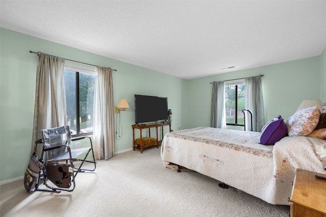 2131 1st Ave Unit 108, Cedar Rapids, IA 52402 - bedroom with multiple windows and light colored carpet