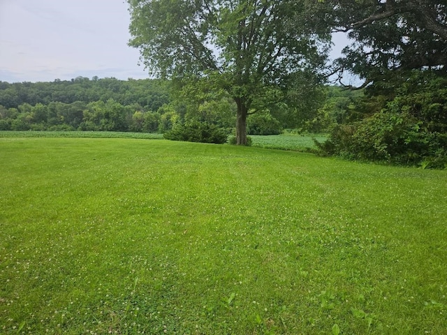 2142 310th Ave, Chelsea, IA 52215 - view of grassy yard with a wooded view