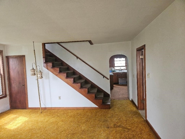 2142 310th Ave, Chelsea, IA 52215 - stairs with carpet flooring and arched walkways