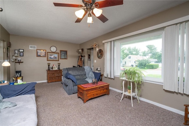 1305 E Ave, Vinton, IA 52349 - living room with carpet flooring, a ceiling fan, and a textured ceiling