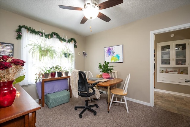 1305 E Ave, Vinton, IA 52349 - office featuring carpet floors, a ceiling fan, and a textured ceiling