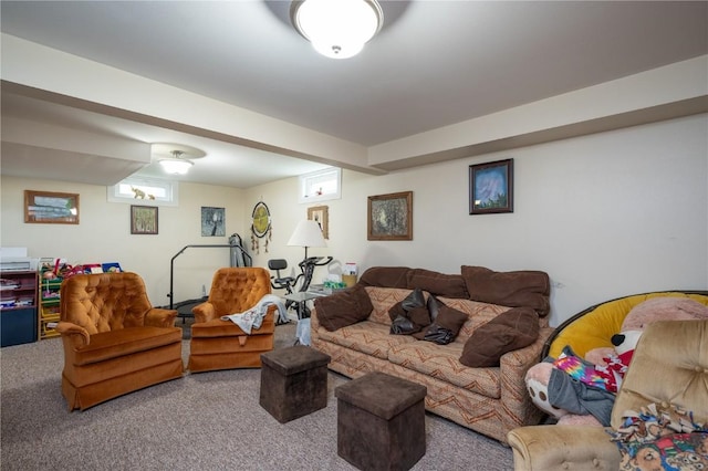1305 E Ave, Vinton, IA 52349 - living room featuring carpet floors