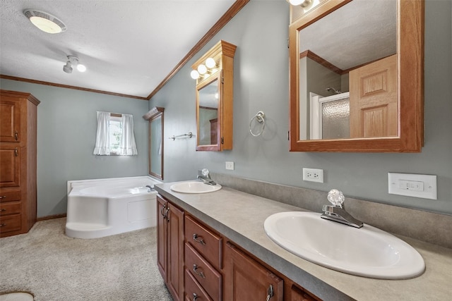 204 Northgate St, Shellsburg, IA 52332 - full bath featuring crown molding, double vanity, a garden tub, a shower with shower door, and a textured ceiling