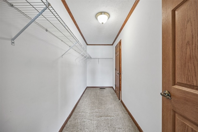 204 Northgate St, Shellsburg, IA 52332 - spacious closet featuring light carpet