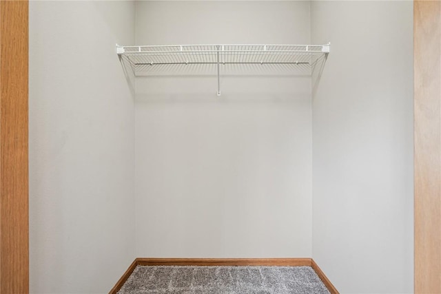 780 Magnolia Ln Unit 4, Marion, IA 52302 - walk in closet featuring carpet