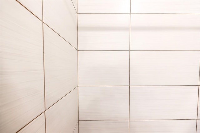 1600 Heartland St, Fairfax, IA 52228 - detailed view of a tile shower