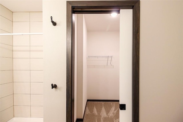 1600 Heartland St, Fairfax, IA 52228 - full bathroom with a tile shower and a walk in closet