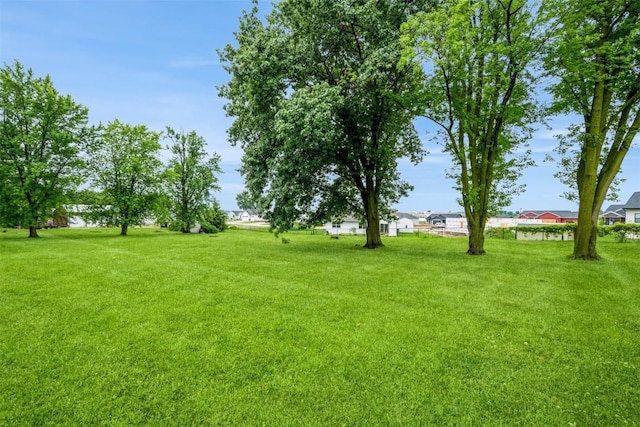 819 Valley St, Center Point, IA 52213 - view of grassy yard