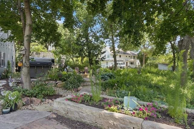318 Ferson Ave, Iowa City, IA 52246 - view of yard