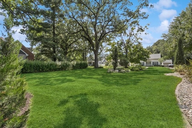 318 Ferson Ave, Iowa City, IA 52246 - view of green lawn